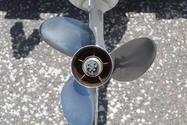 Slide: The Image of Sea Born LX22-CC 2019 - 12