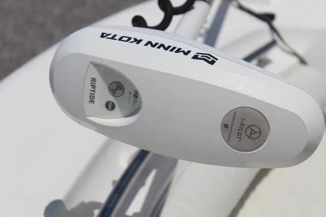 Slide: The Image of Sea Born LX22-CC 2019 - 14