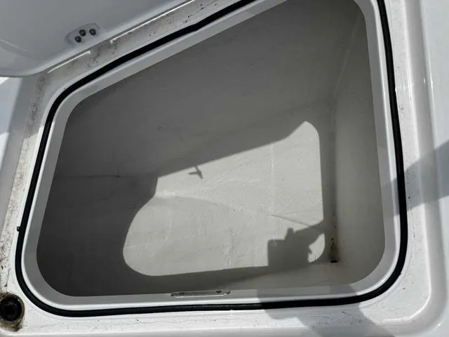 Slide: The Image of Caymas 34 CT - Ball 2024 - 45