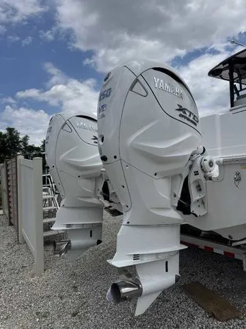 Slide: The Image of Caymas 34 CT - Ball 2024 - 48