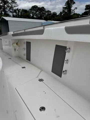 Slide: The Image of Caymas 34 CT - Ball 2024 - 60