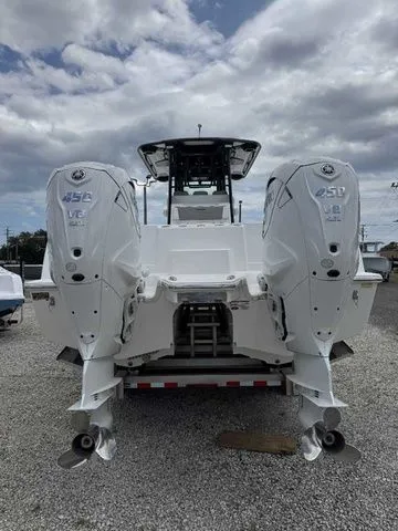 Slide: The Image of Caymas 34 CT - Ball 2024 - 74