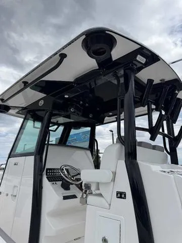 Slide: The Image of Caymas 34 CT - Ball 2024 - 84