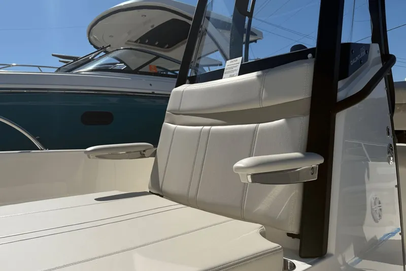 Slide: The Image of Boston Whaler 250 Dauntless 2026 - 17