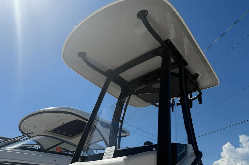 Slide: The Image of Boston Whaler 250 Dauntless 2026 - 18