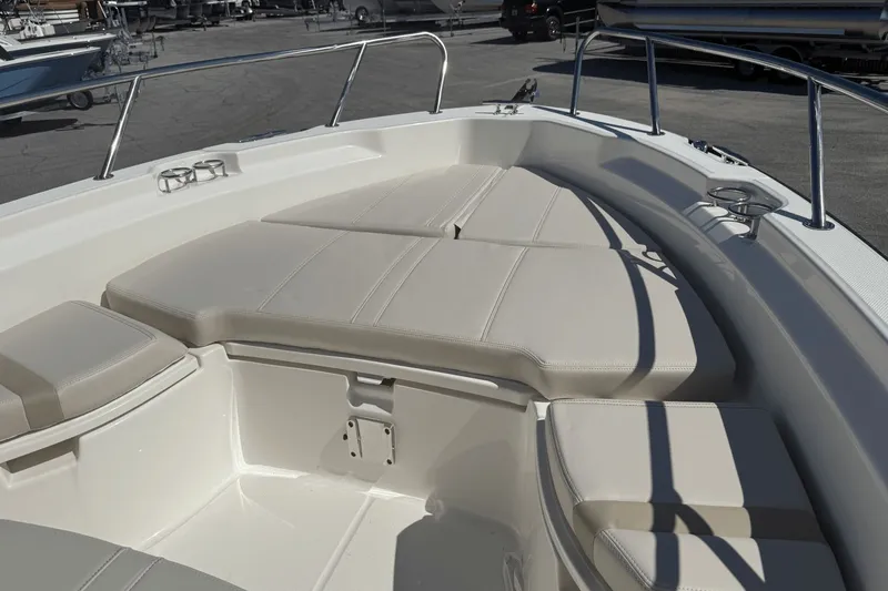 Slide: The Image of Boston Whaler 250 Dauntless 2026 - 24