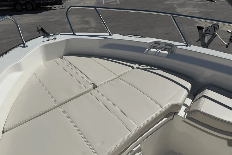 Slide: The Image of Boston Whaler 250 Dauntless 2026 - 26