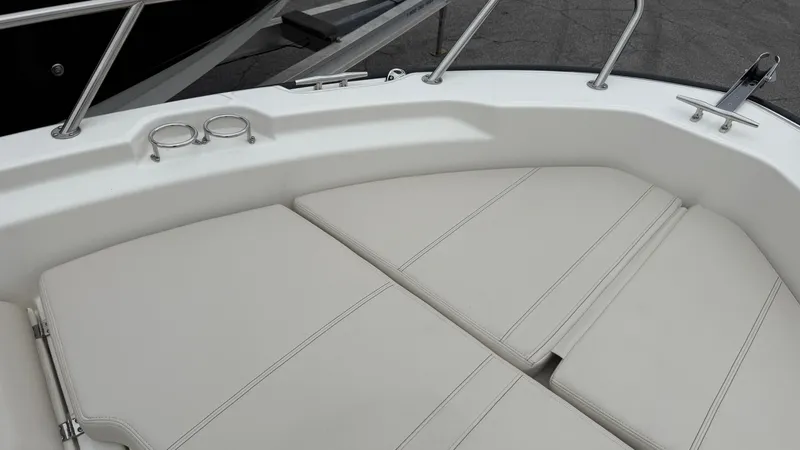 Slide: The Image of Boston Whaler 250 Dauntless 2026 - 35