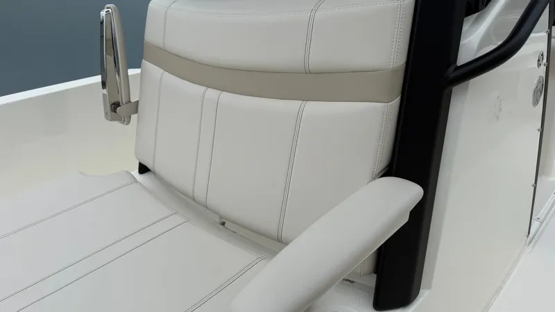 Slide: The Image of Boston Whaler 250 Dauntless 2026 - 39