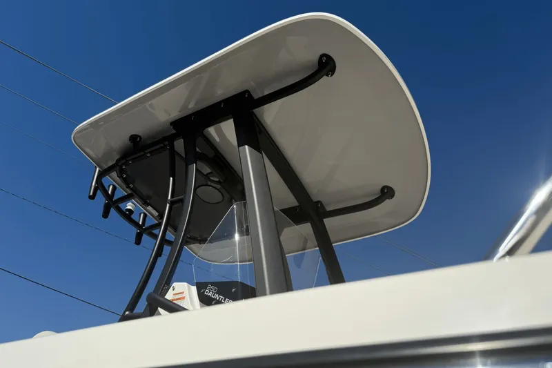 Slide: The Image of Boston Whaler 250 Dauntless 2026 - 5