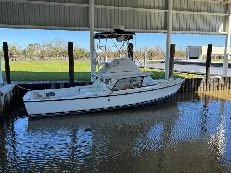 The Image of 1978 Bertram 31 Sportfisher Yanmars docked under a covered marina. - 0