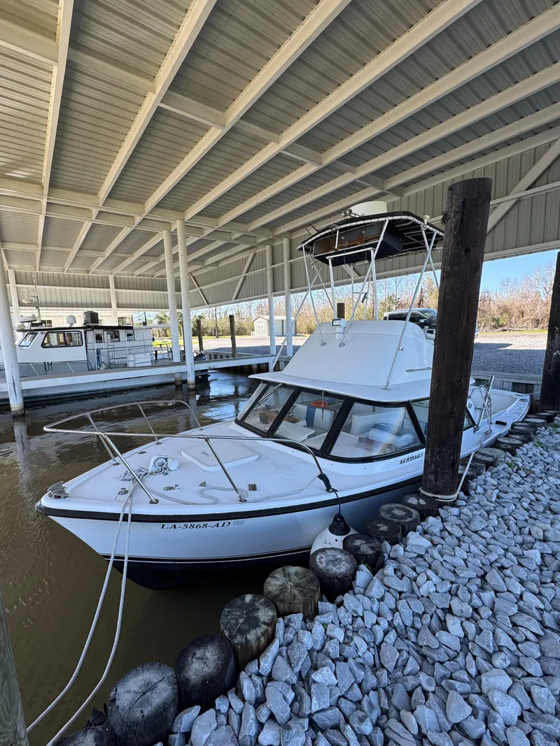 Slide: The Image of 1978 Bertram 31 Sportfisher Yanmars docked under a covered marina. - 2