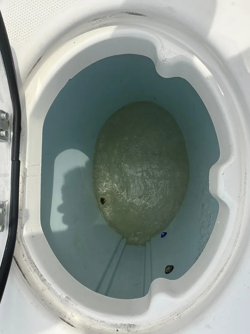 Slide: The Image of Livewell in 2019 Robalo R302 Center Console boat, open lid view. - 16