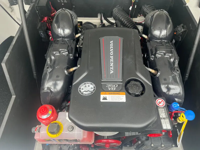 Slide: The Image of 2025 Regal LS6 engine featuring a Volvo Penta 350 V8. - 10