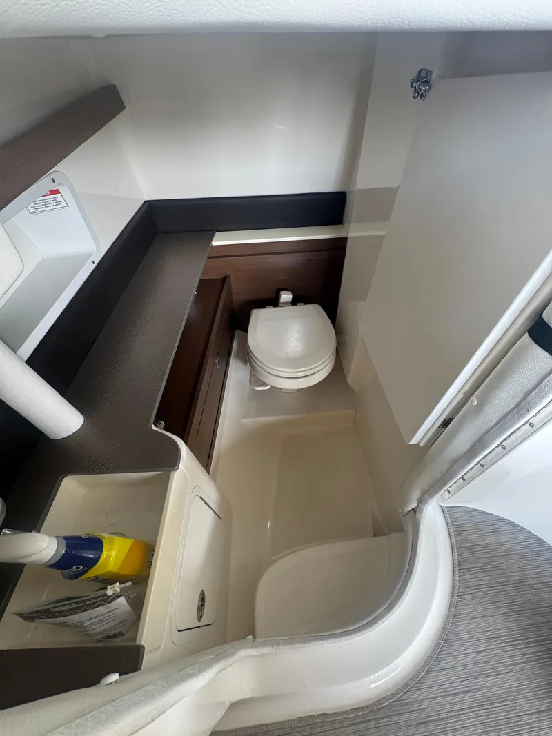 Slide: The Image of Sea Ray 290 Sundeck 2016 - 17