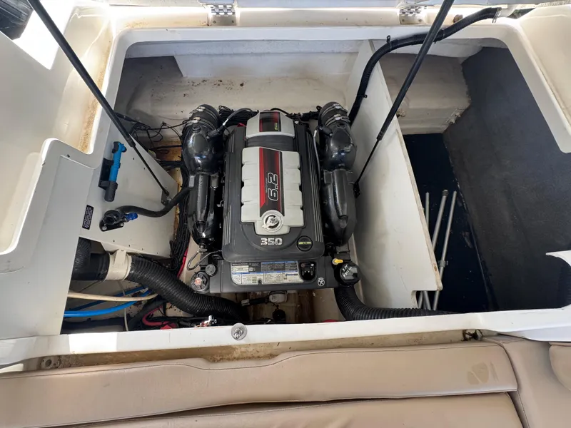 Slide: The Image of Sea Ray 290 Sundeck 2016 - 21