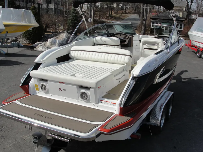 Slide: The Image of Cobalt A25 2013 - 55