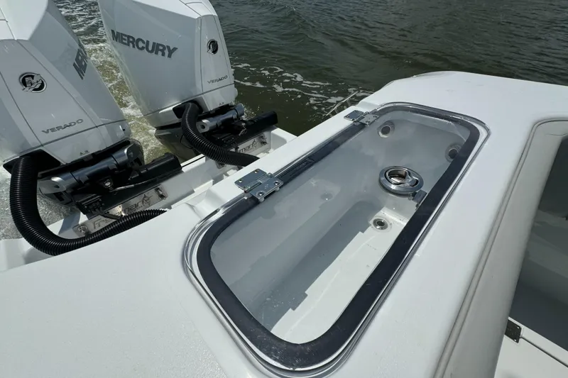 Slide: The Image of Freeman 38 2024 - 58