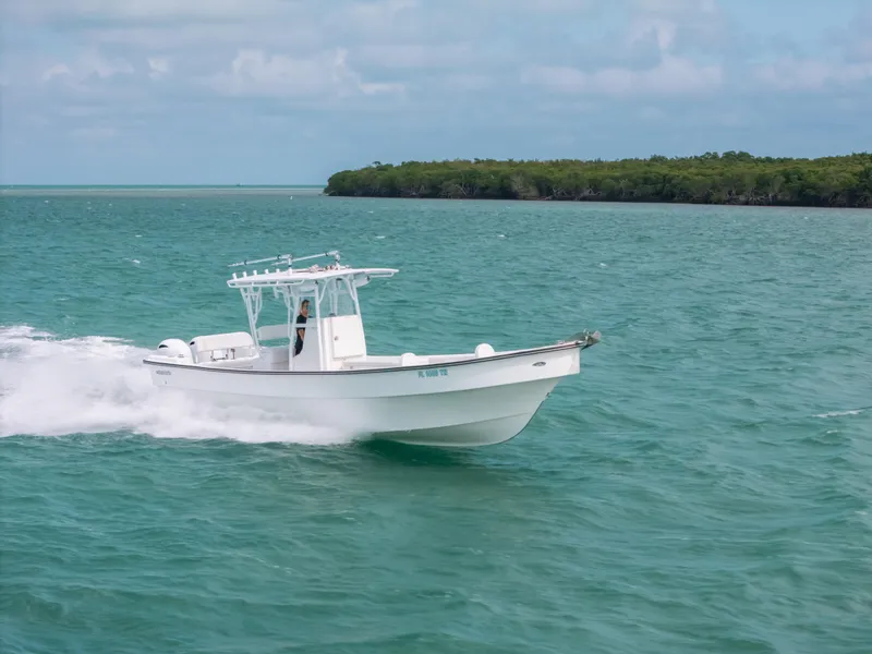 Slide: The Image of 2022 Panga Eduardoño Corvina boat cruising on turquoise water near lush shoreline. - 28