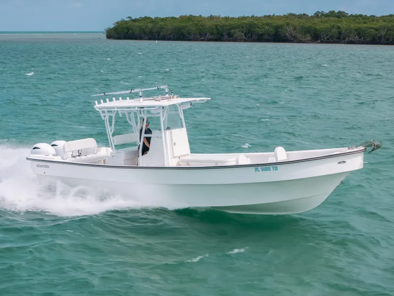 Slide: The Image of 2022 Panga Eduardoño Corvina boat cruising on turquoise water near a lush shoreline. - 29