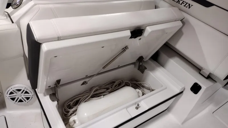 Slide: The Image of Blackfin 272DC 2022 - 22