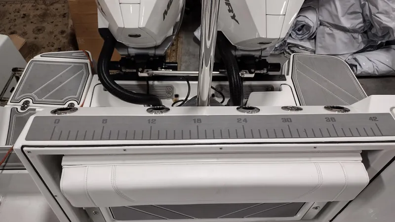 Slide: The Image of Blackfin 272DC 2022 - 29