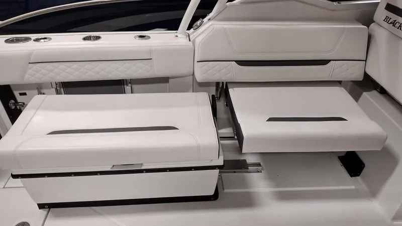 Slide: The Image of Blackfin 272DC 2022 - 38