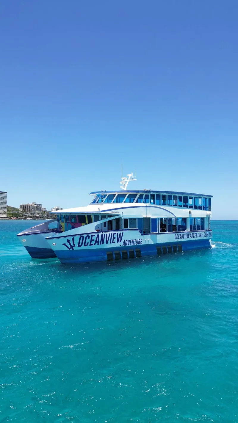 The Image of Custom 2010 Semi Sub Power Catamaran "Oceanview" cruising in clear blue waters. - 0