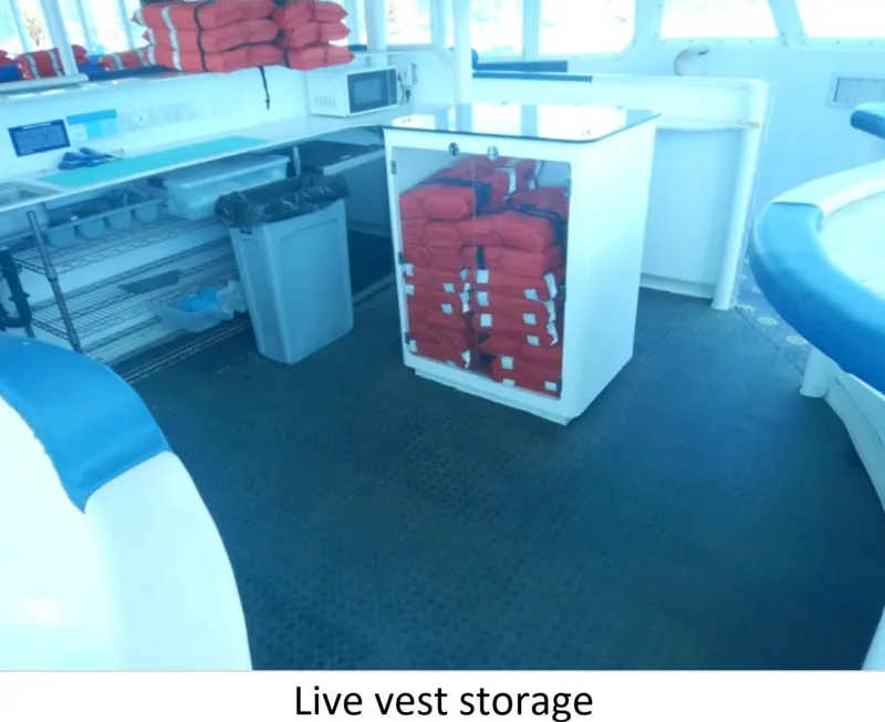 Slide: The Image of Life vest storage area on 2010 Custom Semi Sub Power Catamaran. - 14