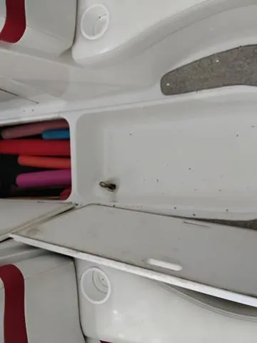 Slide: The Image of Open storage compartment on 2004 Sylvan 2240 Deck Boat with pool noodles inside. - 19