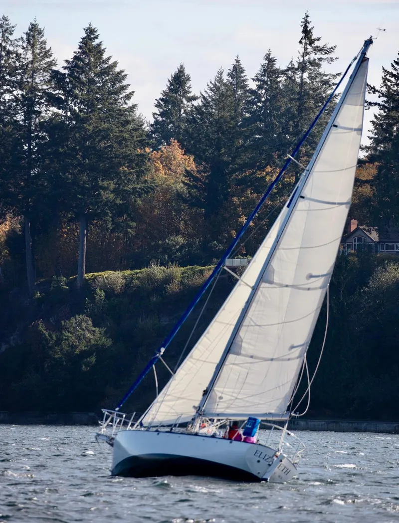 Slide: The Image of Cape George Cutter 2011 sailing near forested shoreline on a sunny day. - 1