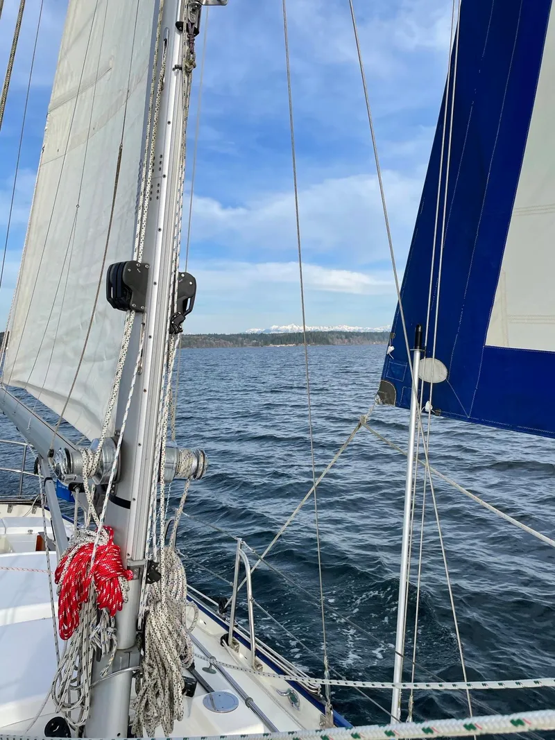 Slide: The Image of Cape George Cutter 2011 - 64