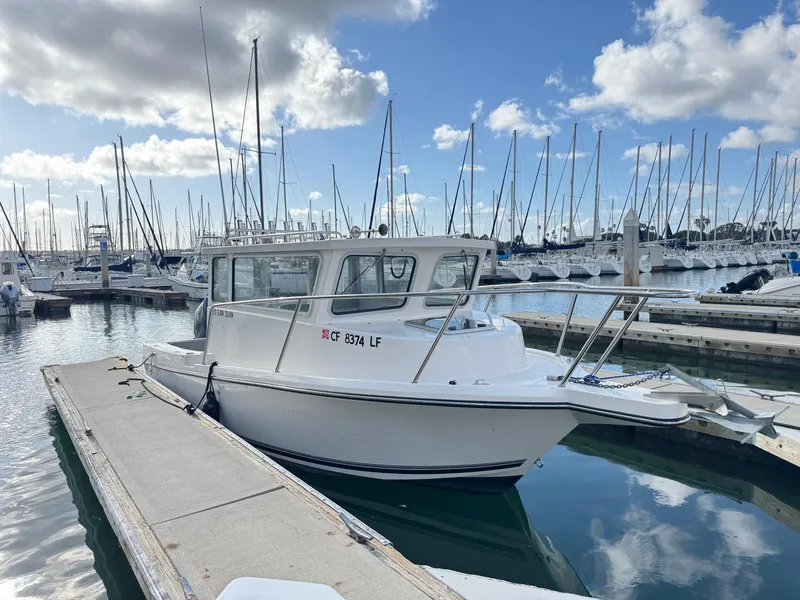 Slide: The Image of 2024 Defiance San Juan 220 boat docked in a marina with sailboats in the background. - 3