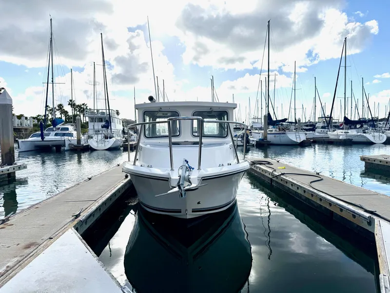 Slide: The Image of 2024 Defiance San Juan 220 boat docked in a marina with sailboats in the background. - 4
