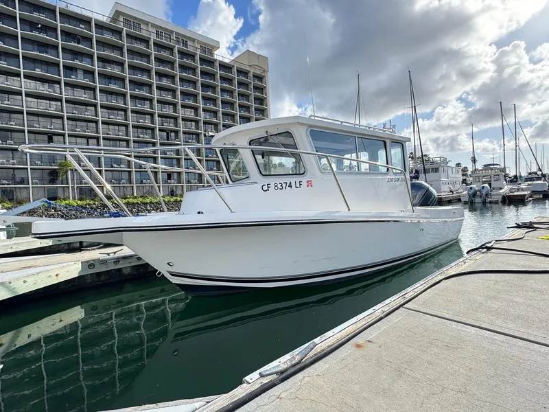 Slide: The Image of 2024 Defiance San Juan 220 boat docked at marina, with modern building in background. - 5