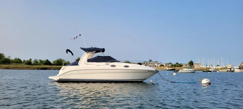 The Image of 2004 Sea Ray Sundancer 260 boat anchored on calm water under clear blue sky. - 0