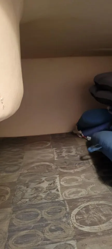 Slide: The Image of Interior cabin of 2004 Sea Ray Sundancer 260 with cushions and patterned flooring. - 8