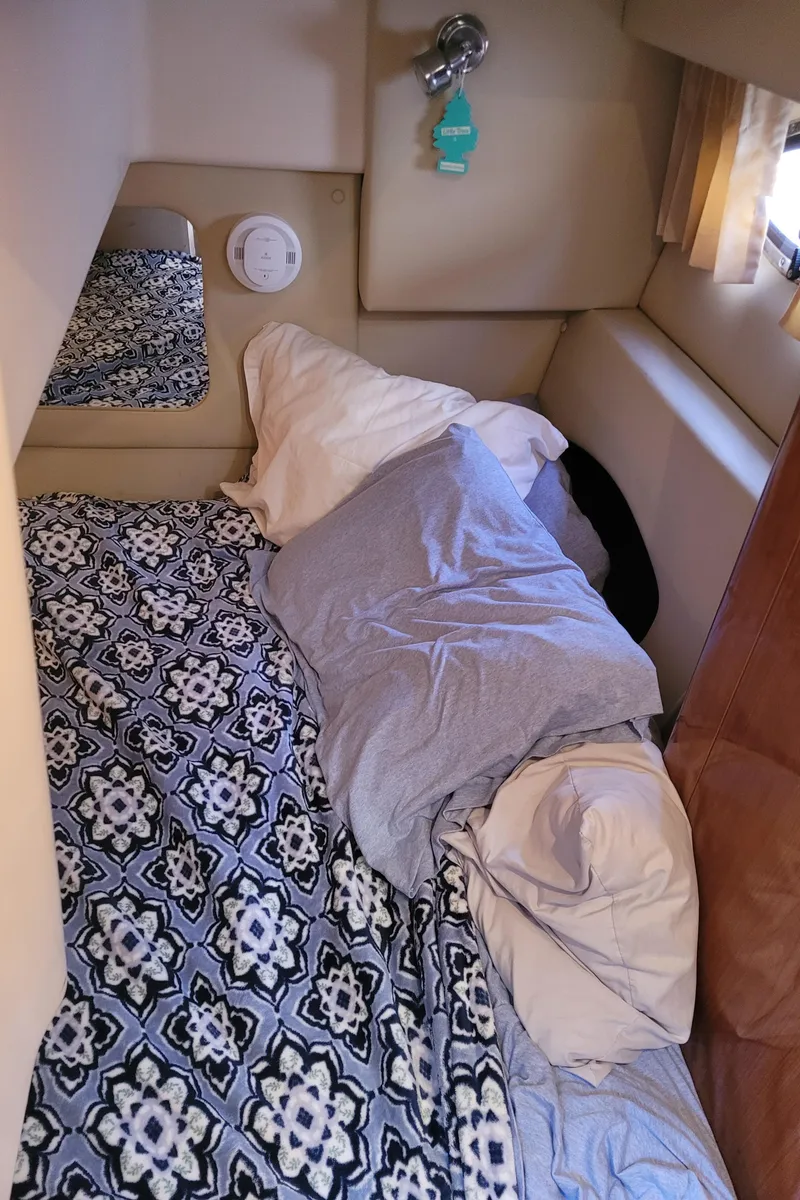 Slide: The Image of Interior cabin of 2006 Regal 3060 Window Express with patterned bedding and pillows. - 31