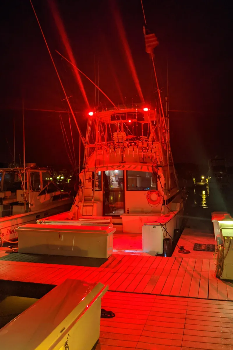 Slide: The Image of 1988 Bertram 37 Convertible boat docked at night, illuminated by red lights. - 11