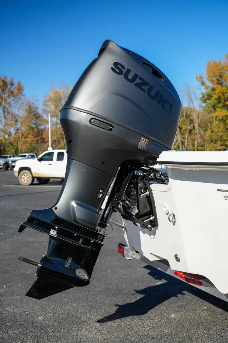 Slide: The Image of Carolina 21 LS 2025 - 6