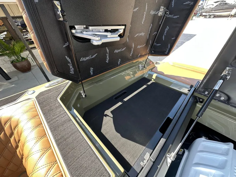 Slide: The Image of Tigé 22RZX 2025 - 39