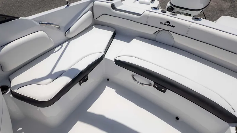 Slide: The Image of Stingray 191DC 2025 - 10