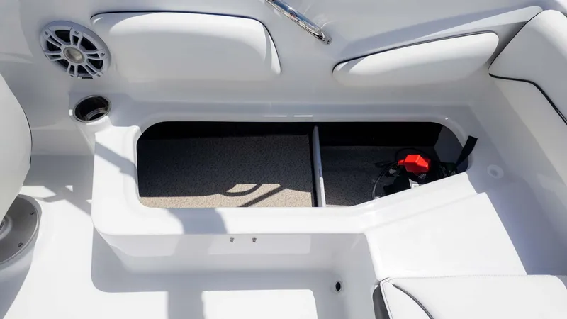 Slide: The Image of Stingray 191DC 2025 - 11