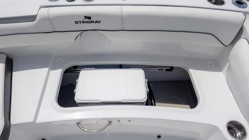 Slide: The Image of Stingray 191DC 2025 - 12