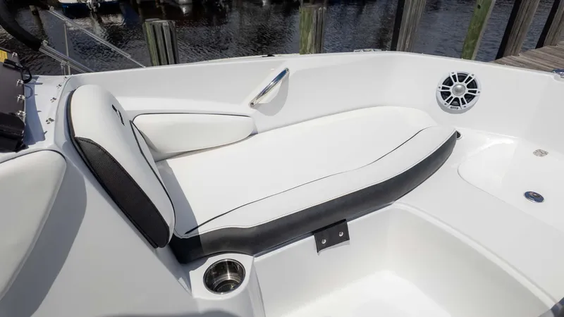 Slide: The Image of Stingray 191DC 2025 - 15