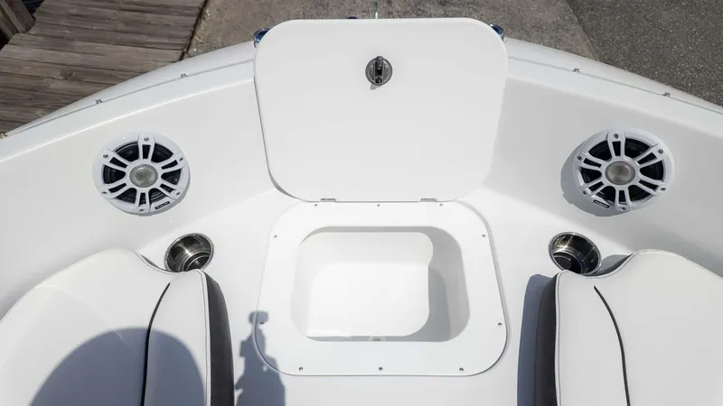 Slide: The Image of Stingray 191DC 2025 - 16