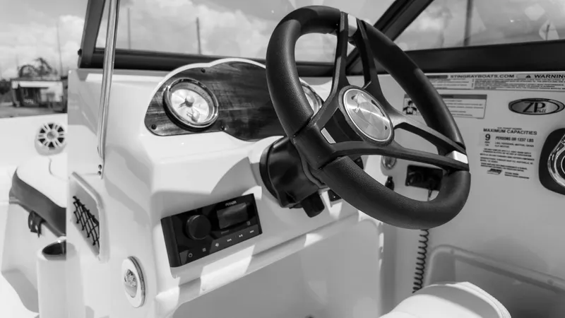 Slide: The Image of Stingray 191DC 2025 - 19