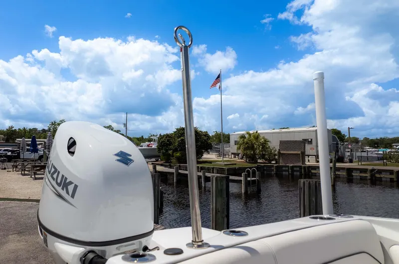 Slide: The Image of Stingray 191DC 2025 - 20