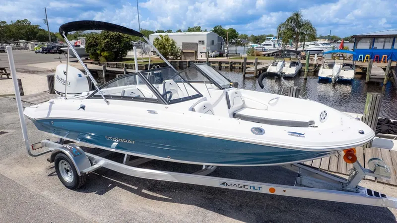 Slide: The Image of Stingray 191DC 2025 - 3