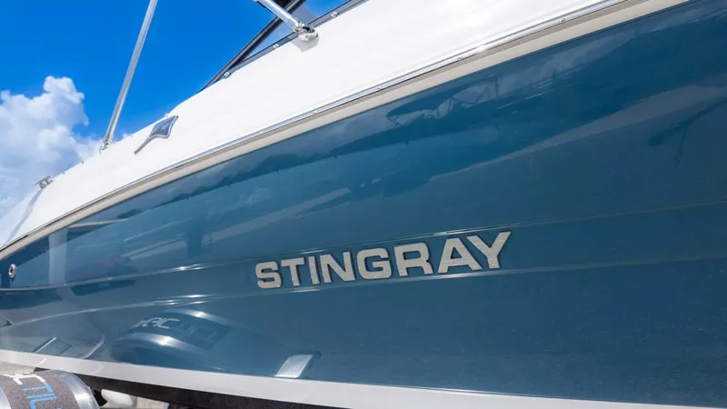 Slide: The Image of Stingray 191DC 2025 - 4